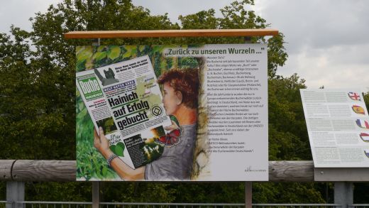Das Weltnaturerbe "Alte Buchenwälder Deutschlands"